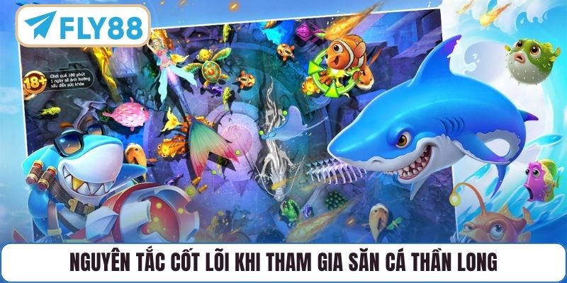 Nguyên tắc cốt lõi khi tham gia săn Cá Thần Long